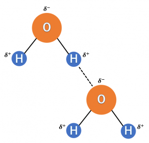 水素結合とは（水などの例・沸点・エネルギー・距離と強さの比較）